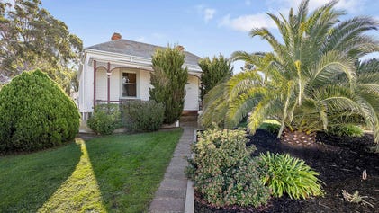 whats likely underneath ironbark houses